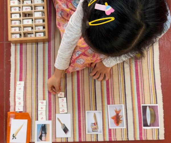 The Curriculum is Adaptable